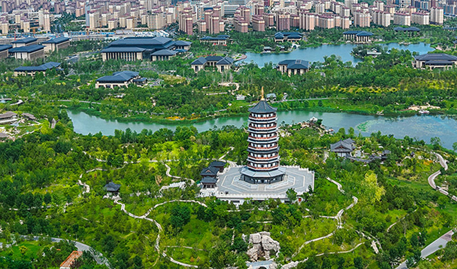 雄安新区拔节生长时间线