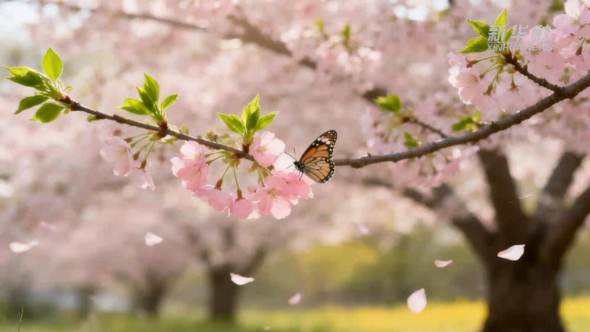 公益微视频丨文明祭祀 防火先行