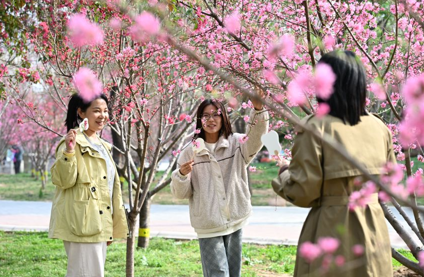 石家庄新华区：踏青赏花 乐享春光