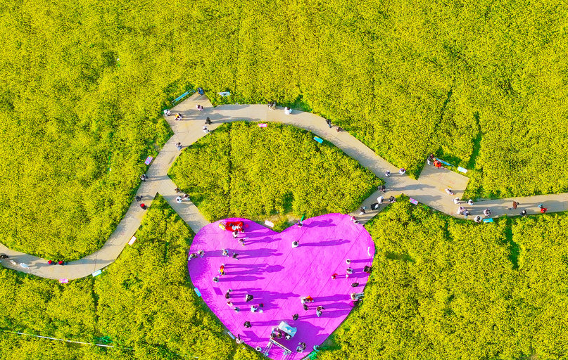 家门口的金色春天