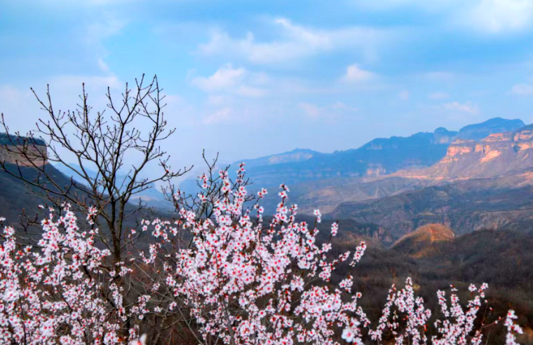 石家庄市赞皇县：春染棋盘山 盛景醉游人