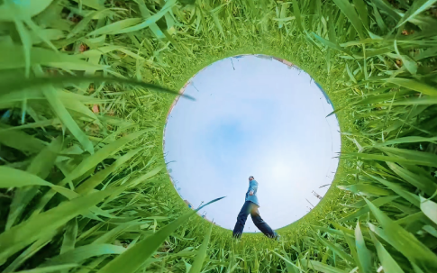 春天里丨麦田“把脉”护粮安