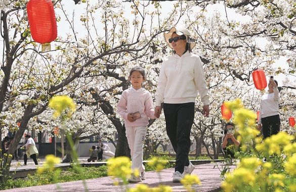 石家庄市春日文旅市场“热力值”拉满