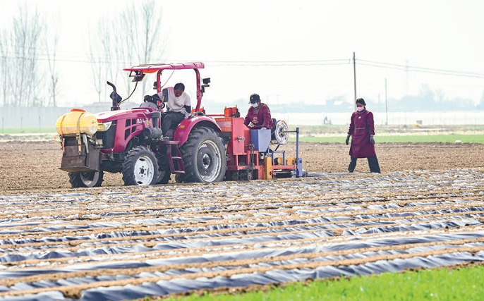 奏响田野“春耕曲”