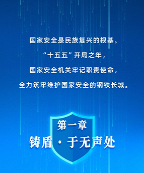 国安之盾，护航“十五五”新征程