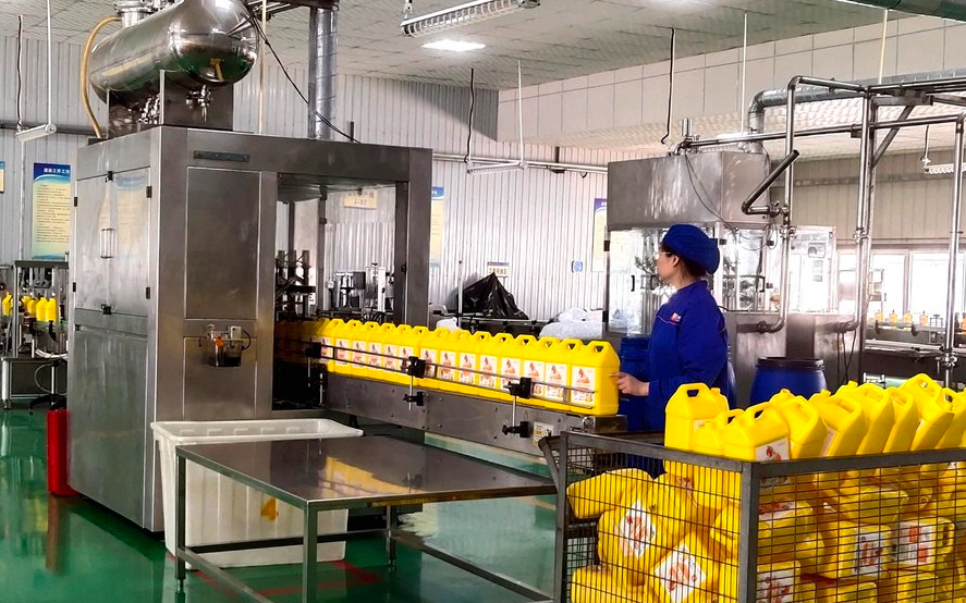 共享专家，十二企业拼团引智