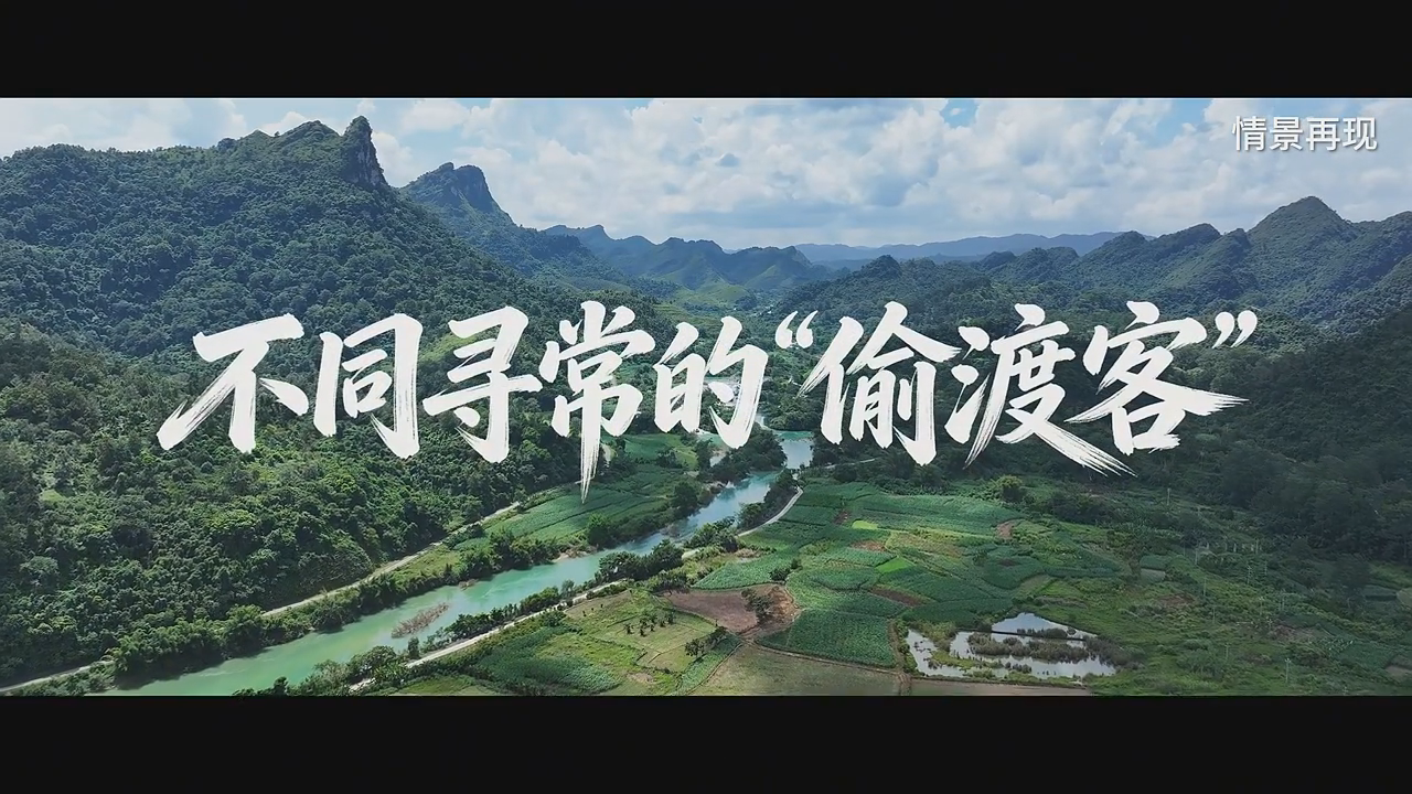 真实案例 | 不同寻常的“偷渡客”