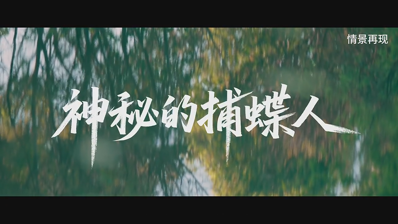 真实案例 | 神秘的捕蝶人