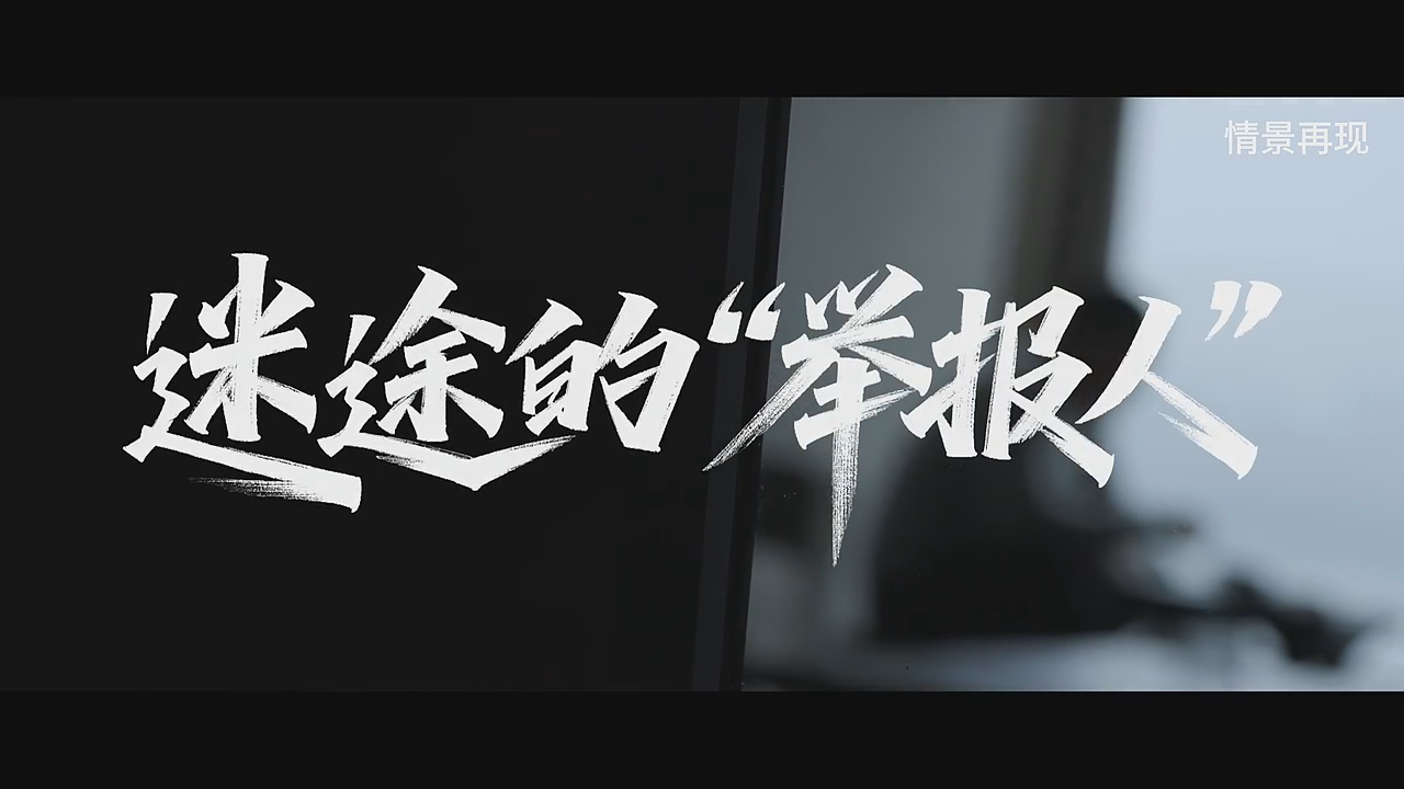 真实案例 | 迷途的“举报人”