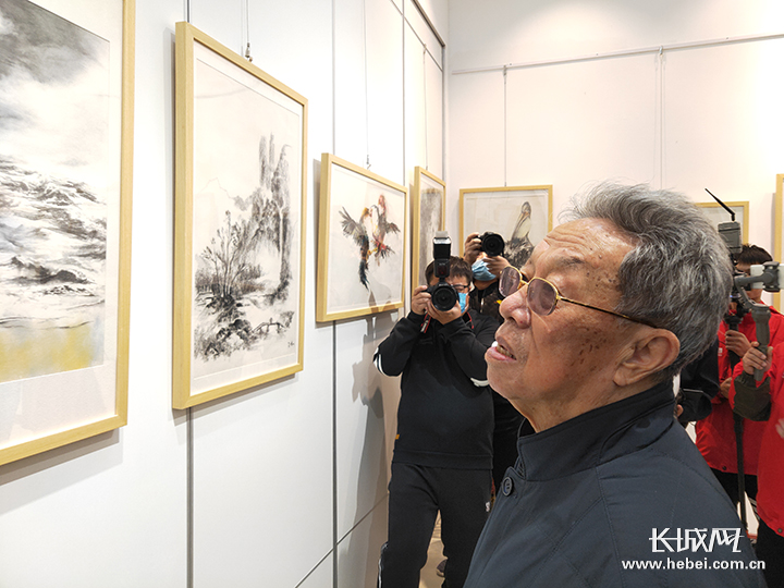 “青春万岁——王蒙文学作品插图名家新作邀请展”在南皮举行-沧州频道-长城网