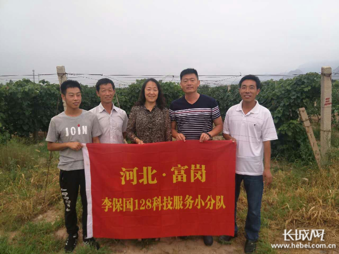 内丘县委书记张辉:以三个"新"推动建设六个"县