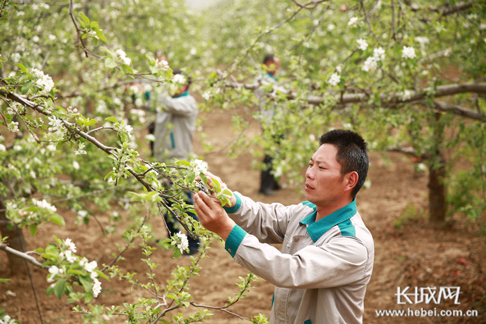内丘县委书记张辉:以三个"新"推动建设六个"县