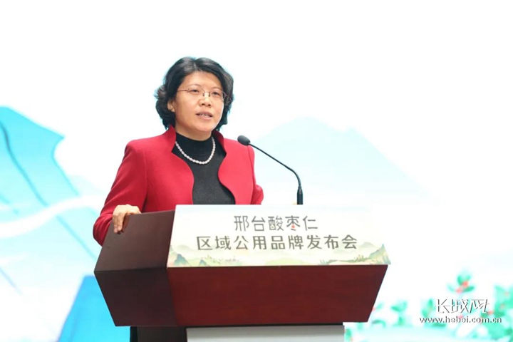邢台市委副书记宋华英会上致辞