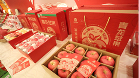 “青龙苹果”区域公用品牌正式发布