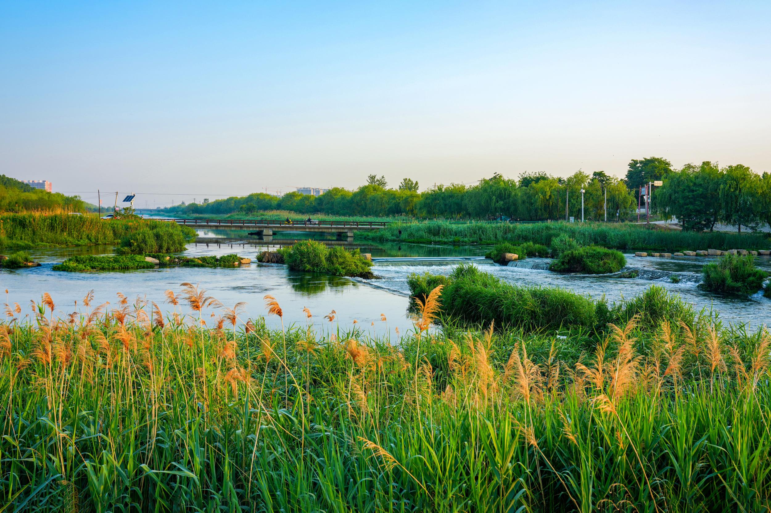 洨河湿地