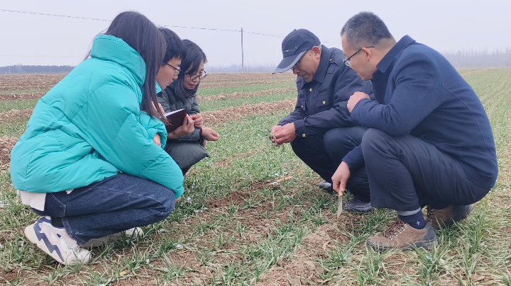 衡水武邑天气在线 衡水武邑天气在线