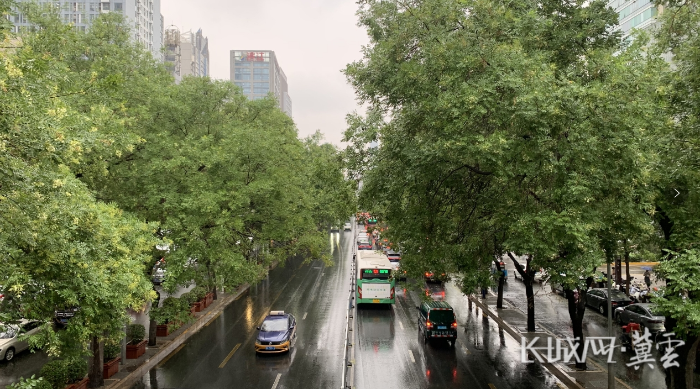 微信截图_20240701155802