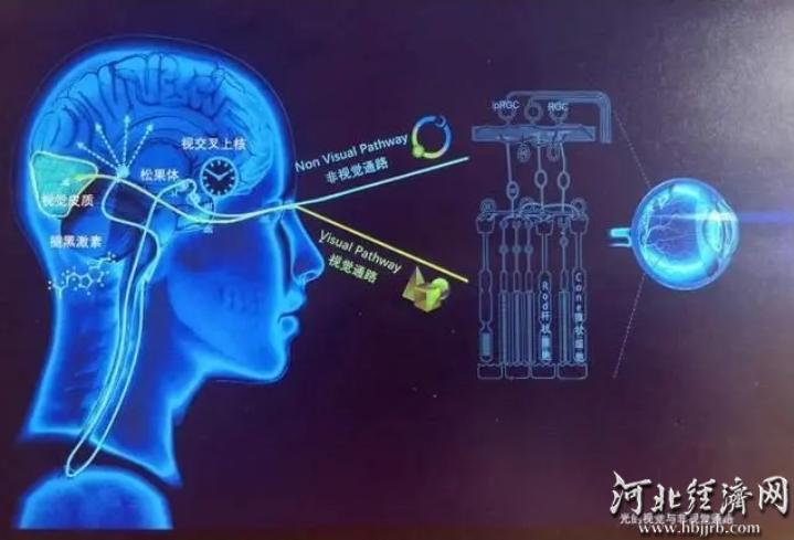 抑郁症光照疗法 开启精神健康治疗新篇章_河北经济网