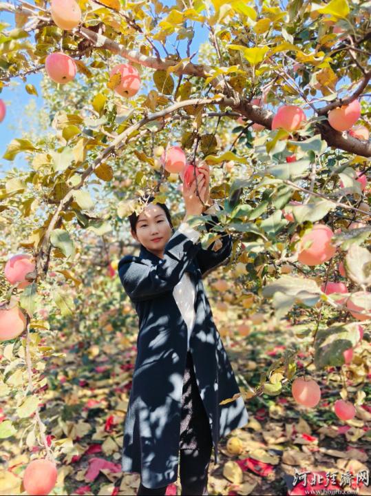 欣赏田园风光 体验采摘乐趣