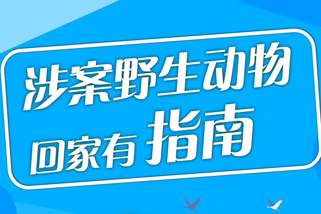 百姓看联播丨涉案野生动物“回家”有指南