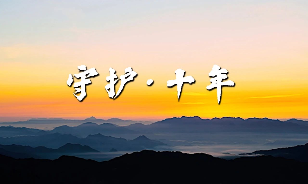 2025年全民国家安全教育日宣传片《守护·十年》