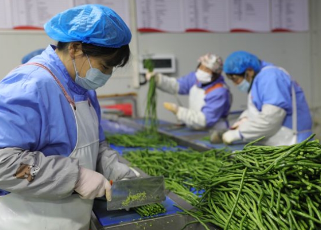 瓣瓣同心的幸福合唱｜当好“保供员”，一桌净菜的水嫩鲜香