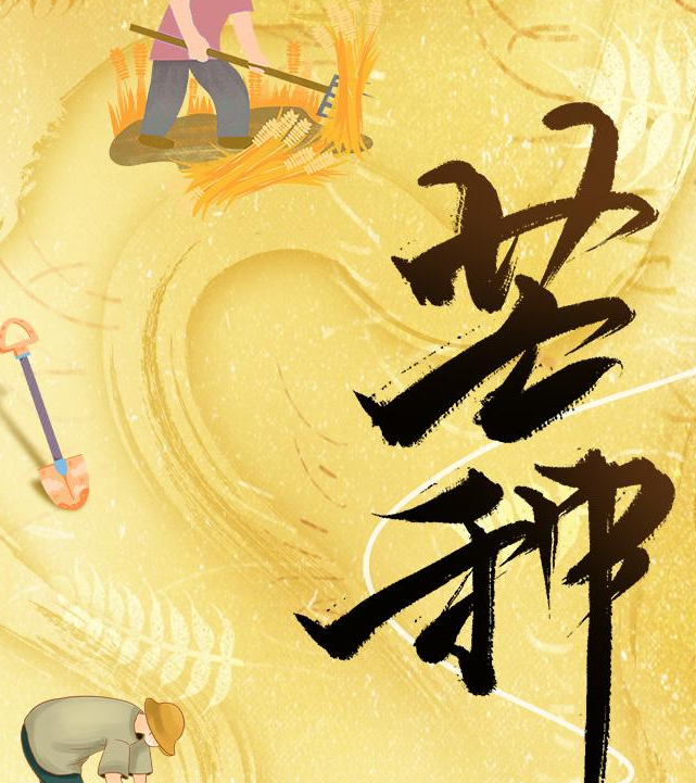 芒种如约而至 仲夏至此开启