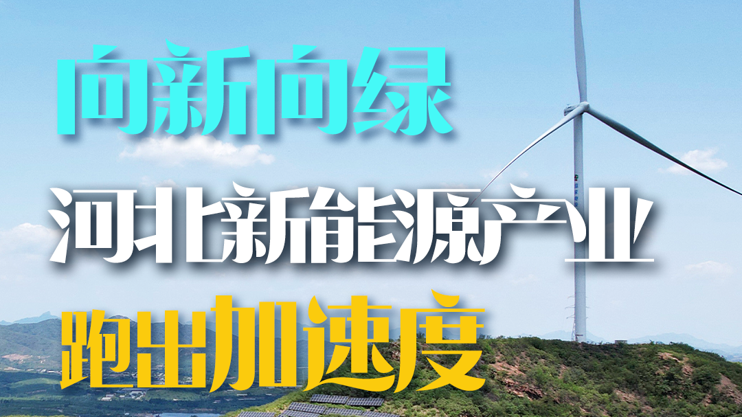 向新向绿 河北新能源产业跑出“加速度”