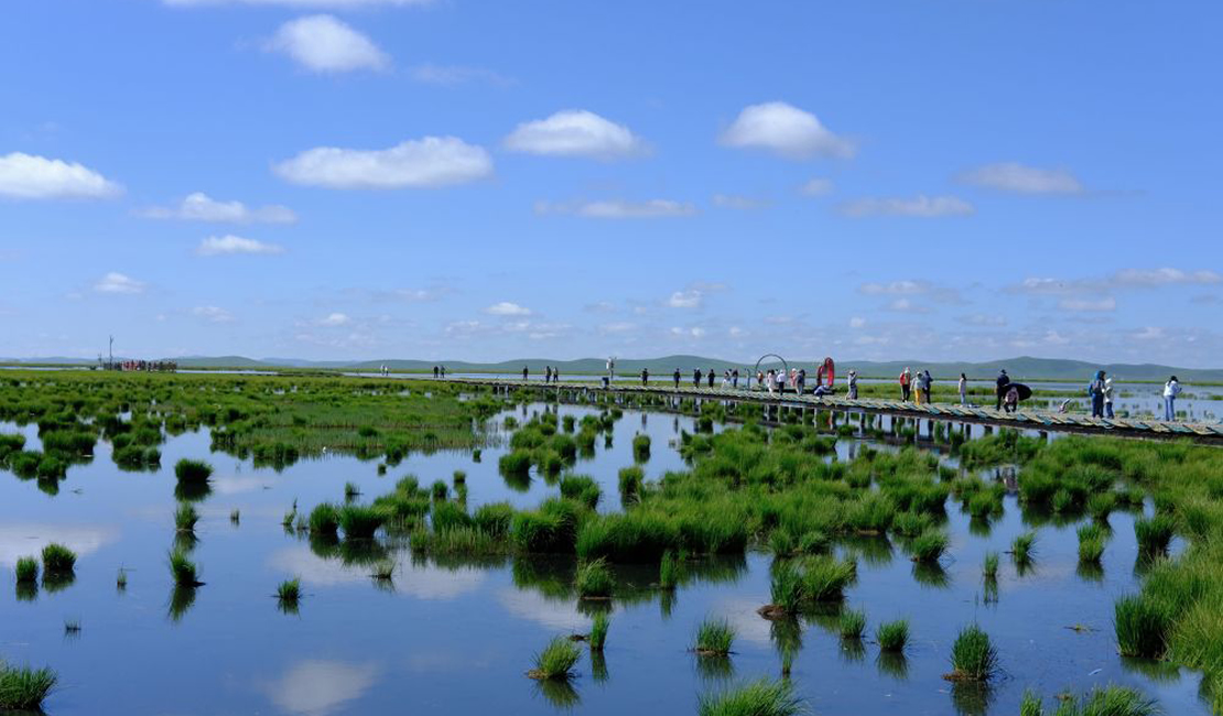 四川若尔盖迎来暑期旅游旺季