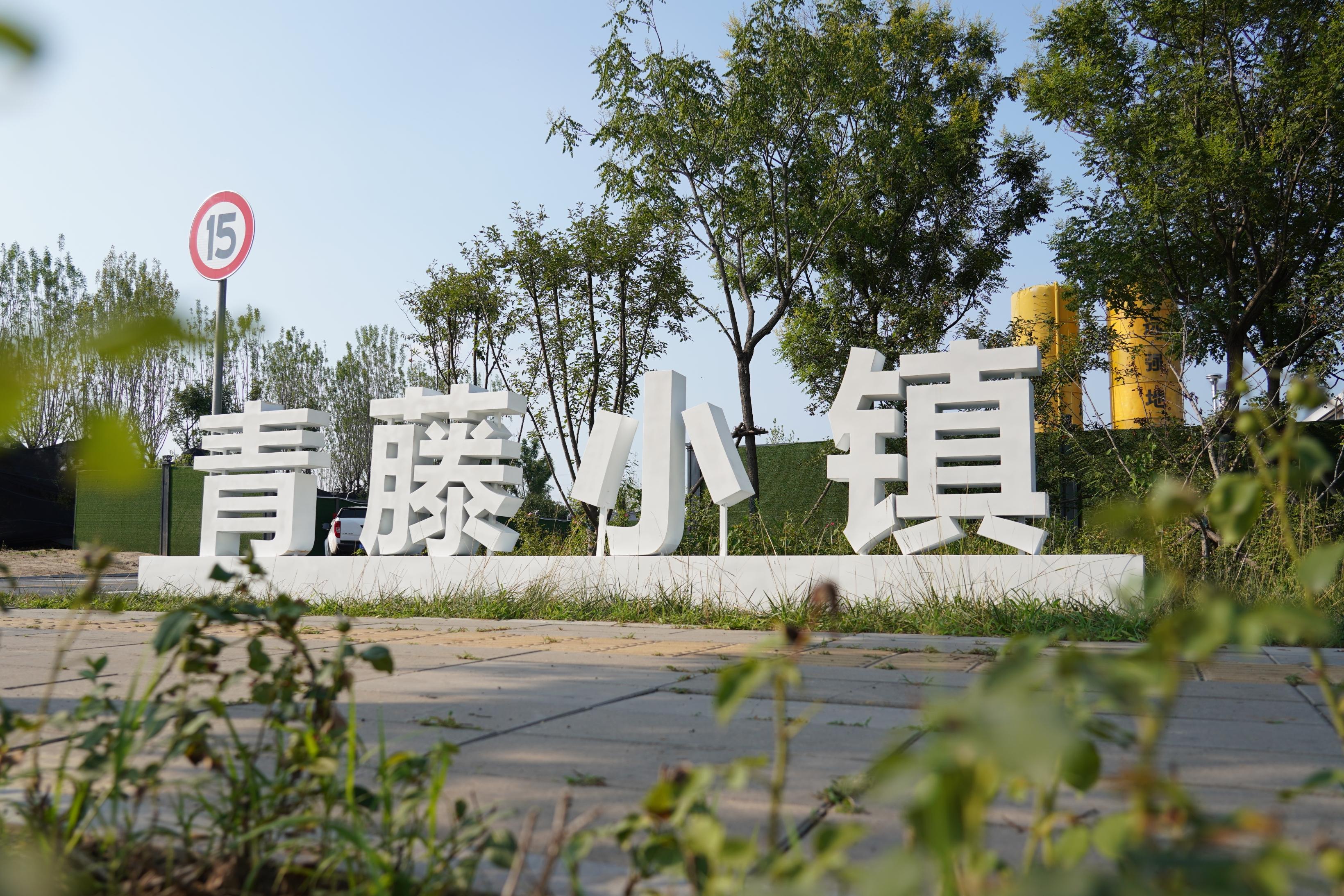 起步区青藤小镇项目开工建设