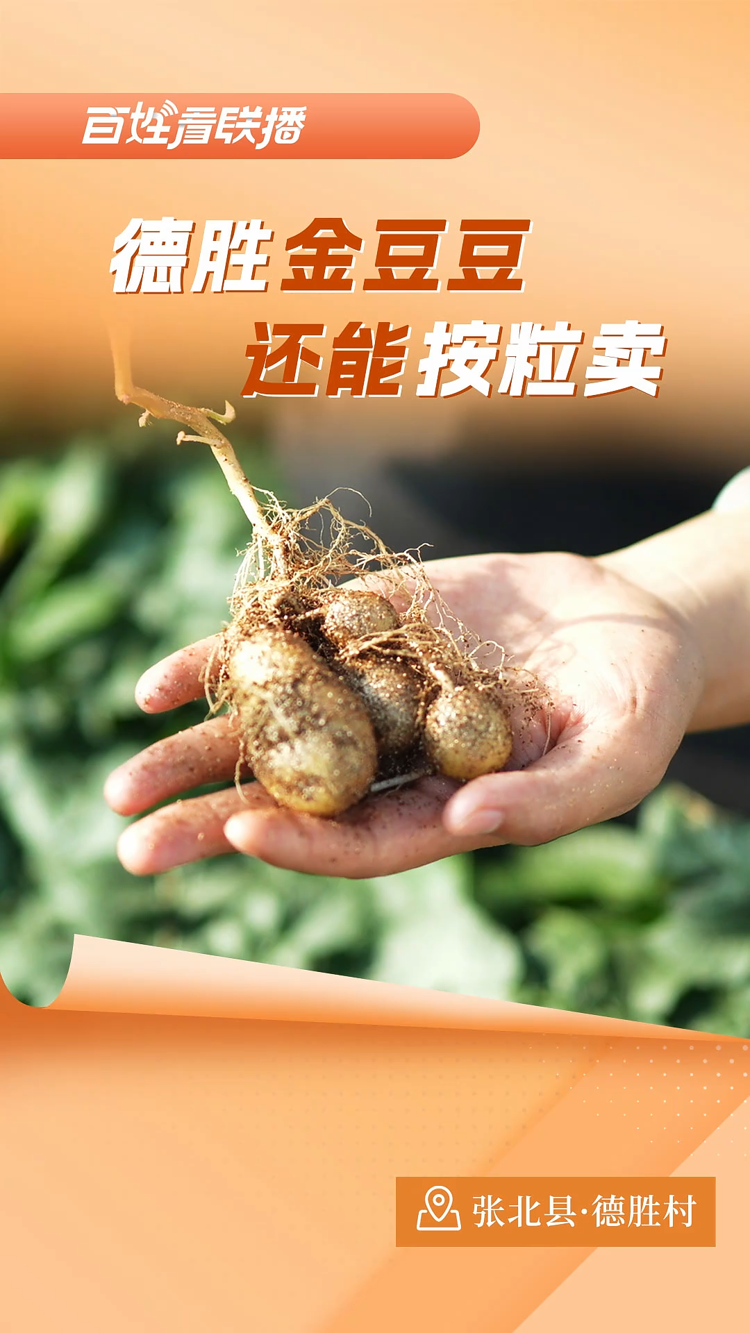 百姓看联播丨德胜“金豆豆”还能“按粒卖”？
