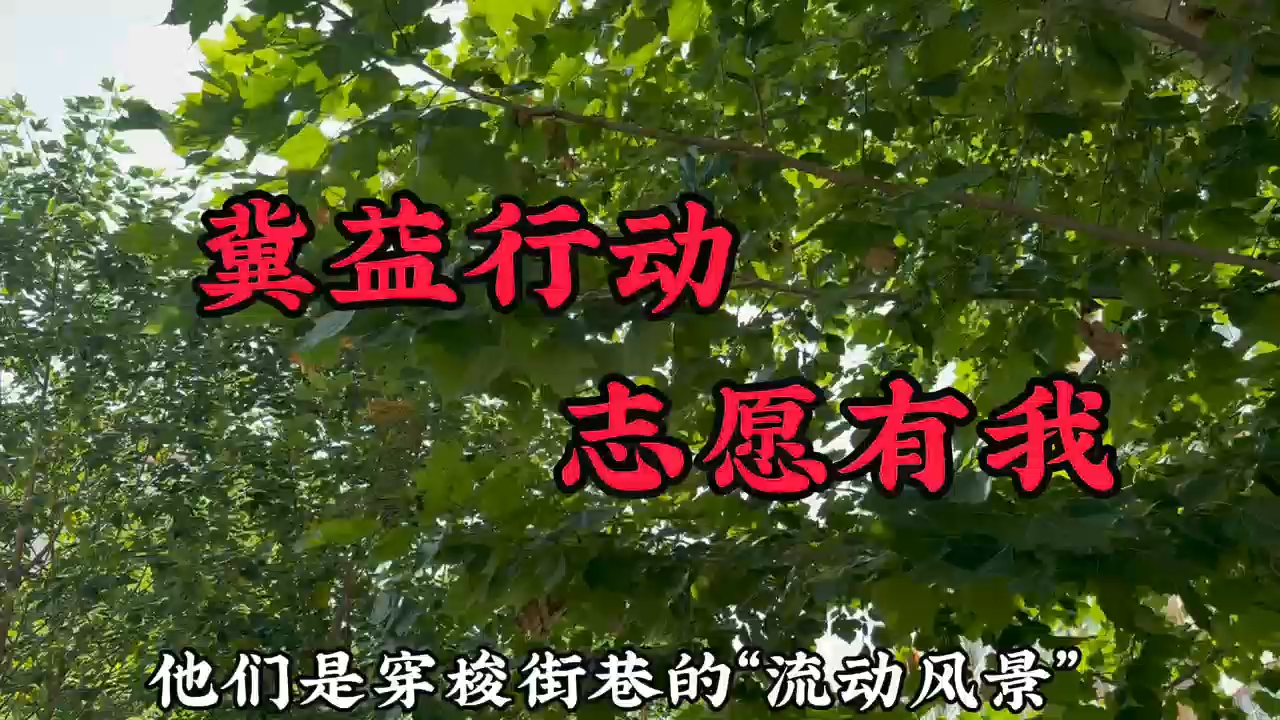 冀益行动，志愿有我