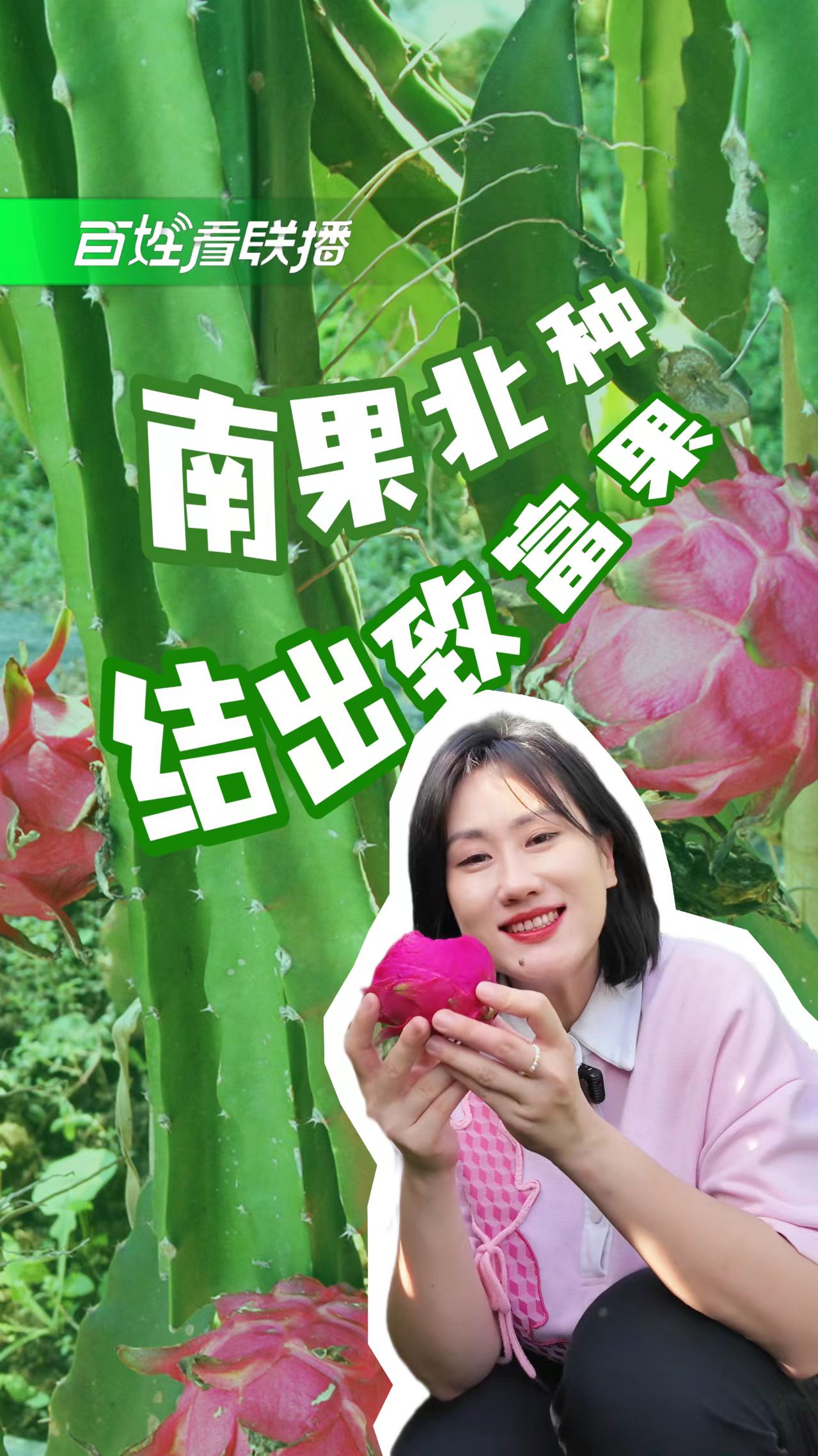 百姓看联播丨“南果北种”结出致富果