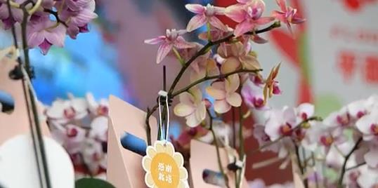 河北石家庄：以花为礼 致敬教师节