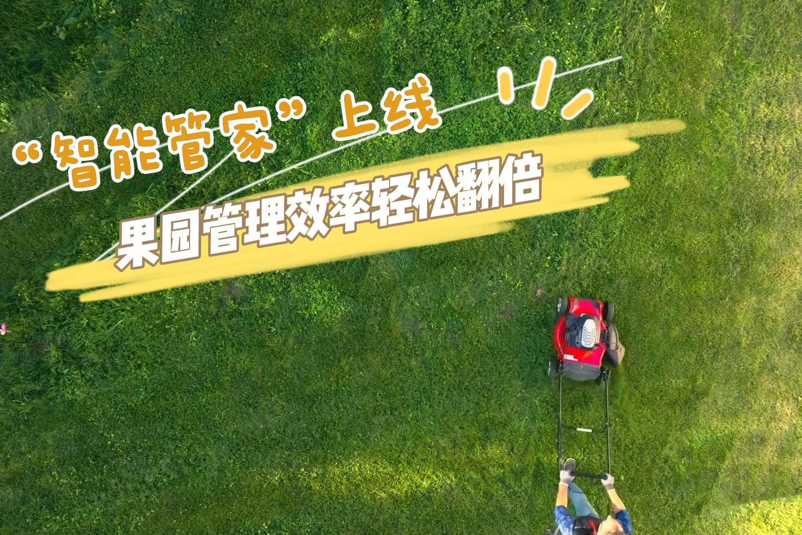 2025“礼遇魏县”金秋系列活动 | “智能管家”上线 果园管理效率轻松翻倍