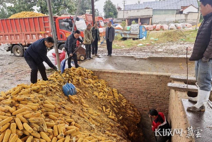 邯郸大名：齐心合力 马力全开 全力守护金秋粮仓