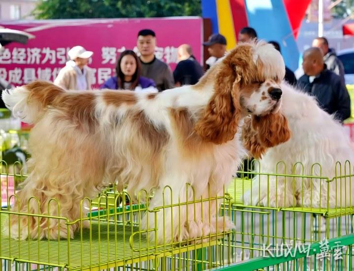 微信图片_20251013164733_29_951(1)