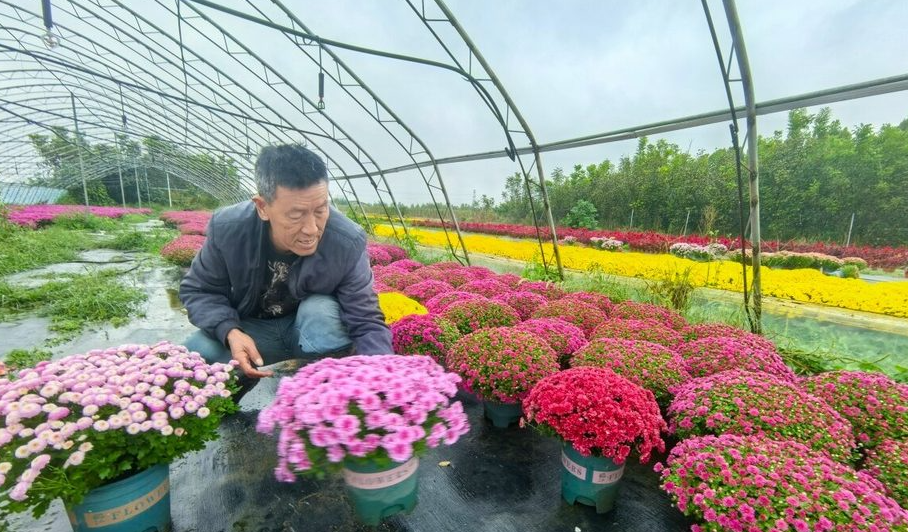 “云端花市”撬动新商机