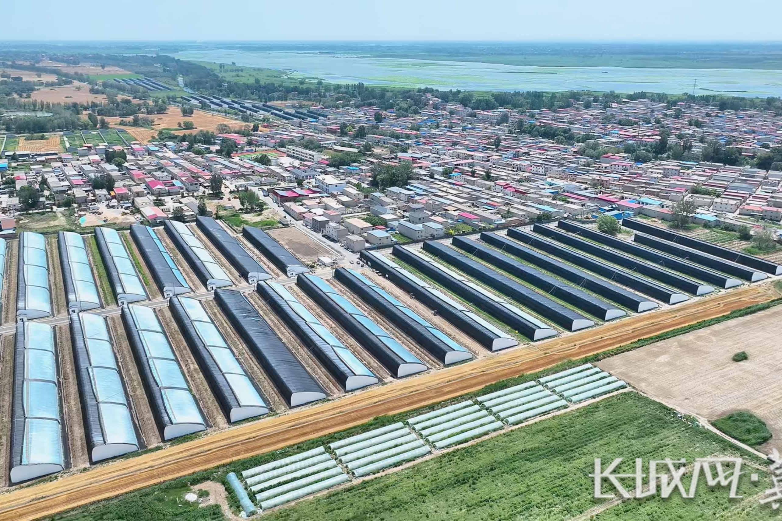 ​雄安改革身边事｜手机“种”出致富果