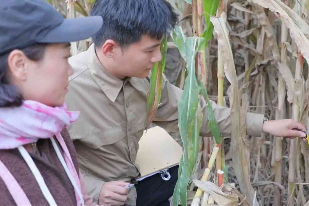 衡水市以测促产铺就现代农业高质量发展路