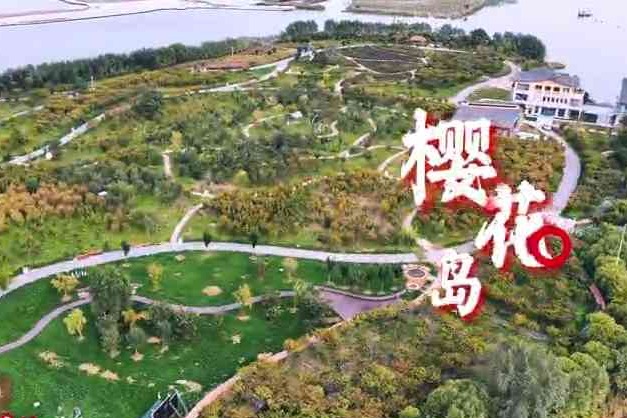衡水新地标微视频：樱花岛