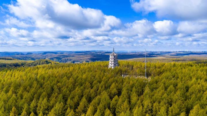 塞罕坝：林海为毯 远山如诗