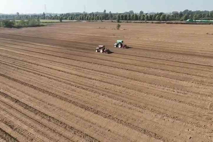 安平：抢抓农时全力推进小麦播种