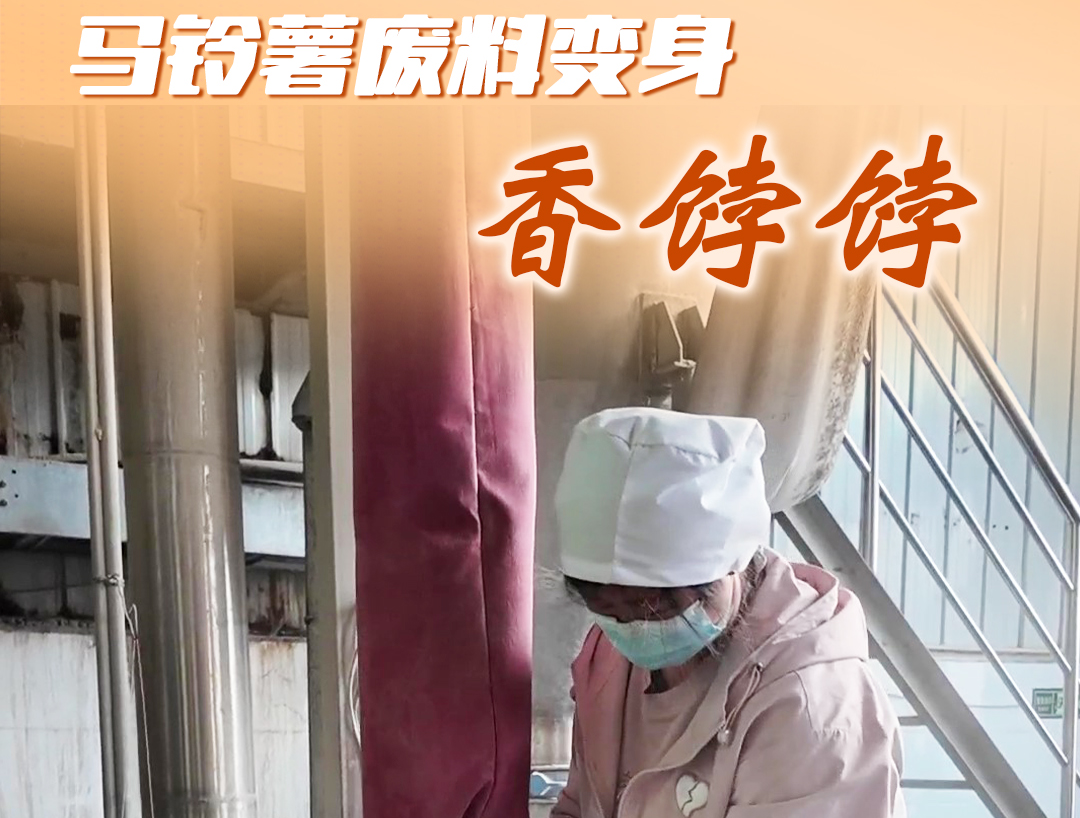 百姓看联播丨马铃薯废料变身“香饽饽”