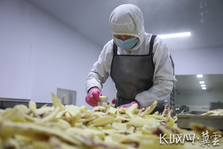 唐山滦南：薯干飘香富农家