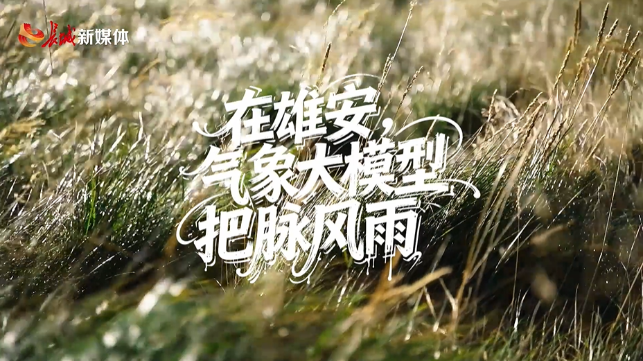 拔节生长看雄安 | 在雄安，气象大模型“把脉风雨”