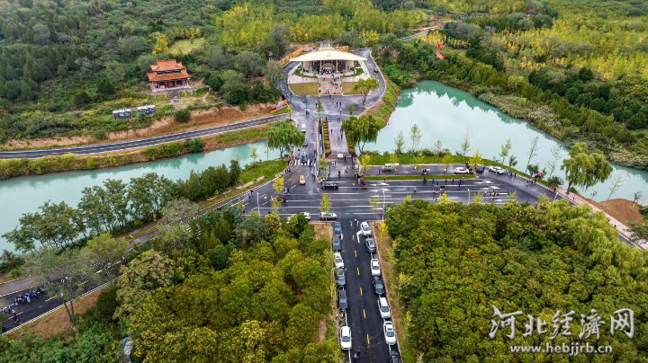 邢台市栾卸村:万亩银杏树“长”出产业链_河北经济网