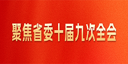 聚焦省委十届九次全会