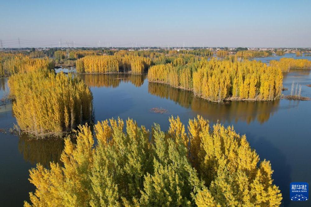 河北隆尧：初冬泜河风光秀美