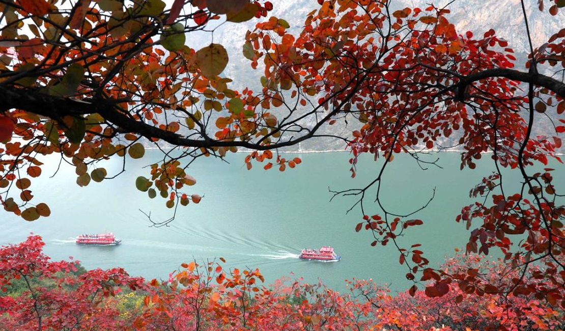 冬林不寂 色彩未眠